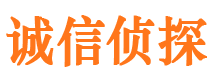 庆城市私家侦探